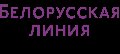 увеличить Интернет-магазин Белорусская линия в Москве