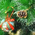 увеличить Merry Christmas Store в Москве