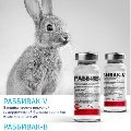 увеличить Компания «Бионит» - Ветеринарные препараты в России в Москве