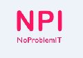 увеличить NoProblemIT в Москве