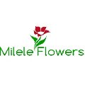 Milele Flowers в Москве