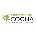 увеличить ЛИСТВЕННИЦА-СОСНА в Москве