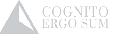COGNITO в Москве