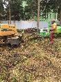увеличить Мастер лес в Москве