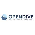 OpenDive в Москве